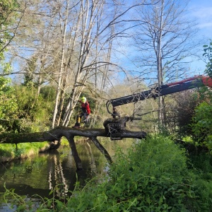 Arbre tombé sur une rivière (Saint Médard d'Excideuil)