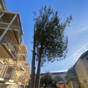 Démontage dû à une contrainte de bâtiments - début (Périgueux)