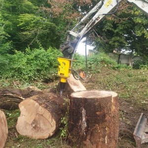 Fendage de bois de chauffage à la pelle (gros plan)