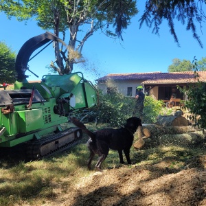 Broyeur en action avec Merlin à la rescousse