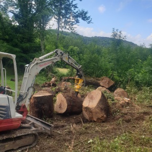 Fendage de bois de chauffage à la pelle